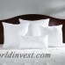 Wayfair Basics™ Wayfair Basics Pillow Insert WFBS1728